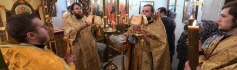 Служба Владыки