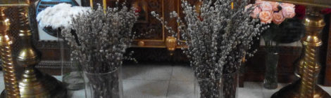 Вербное воскресение